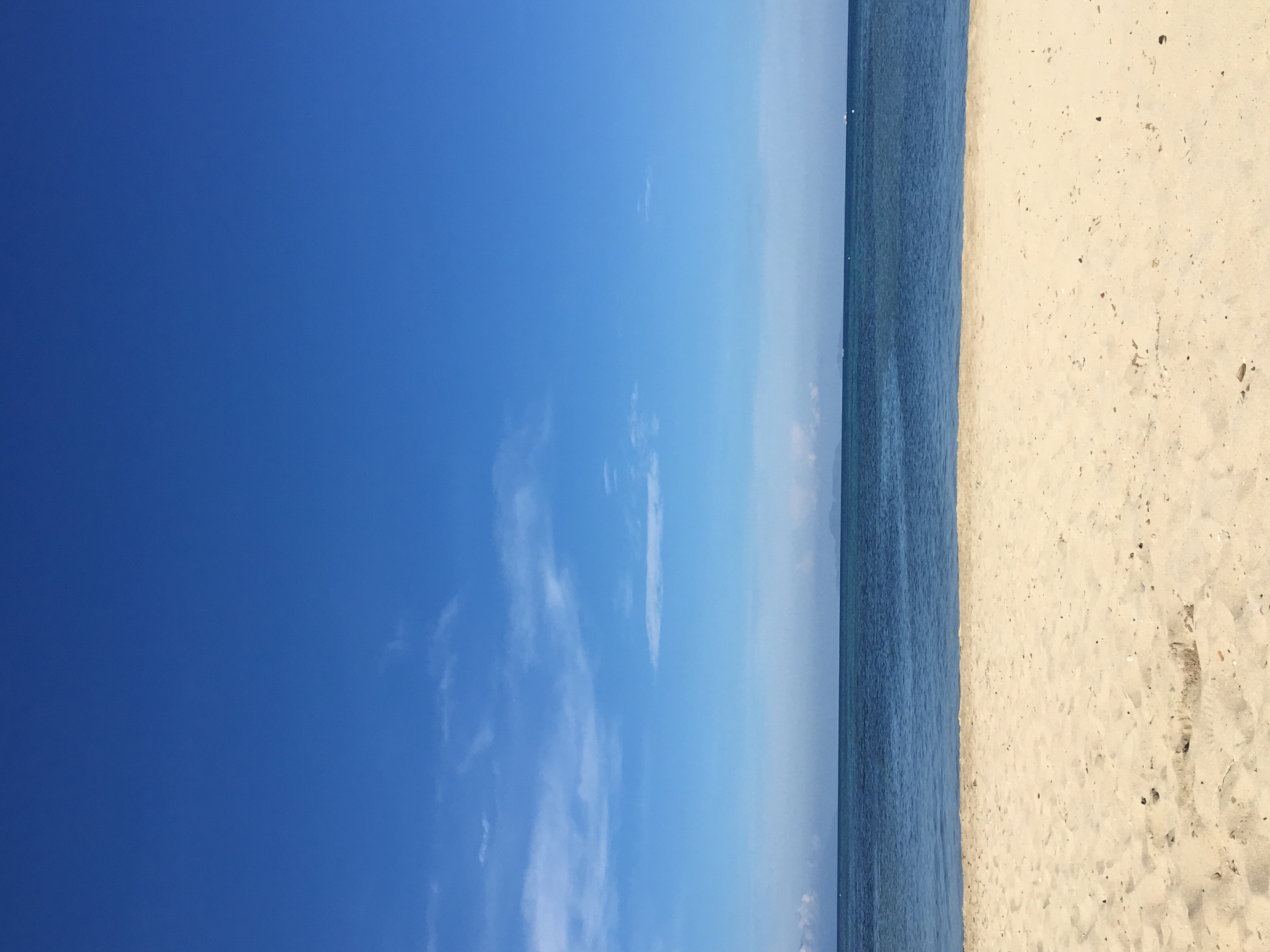 Manuel Uy Beach Resort