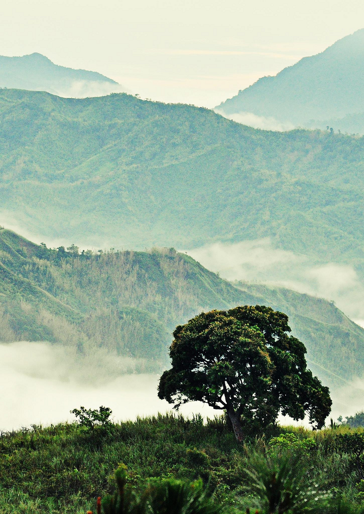 Sierra Madre landscape in Tanay near Mount Masungki Billboard Camp