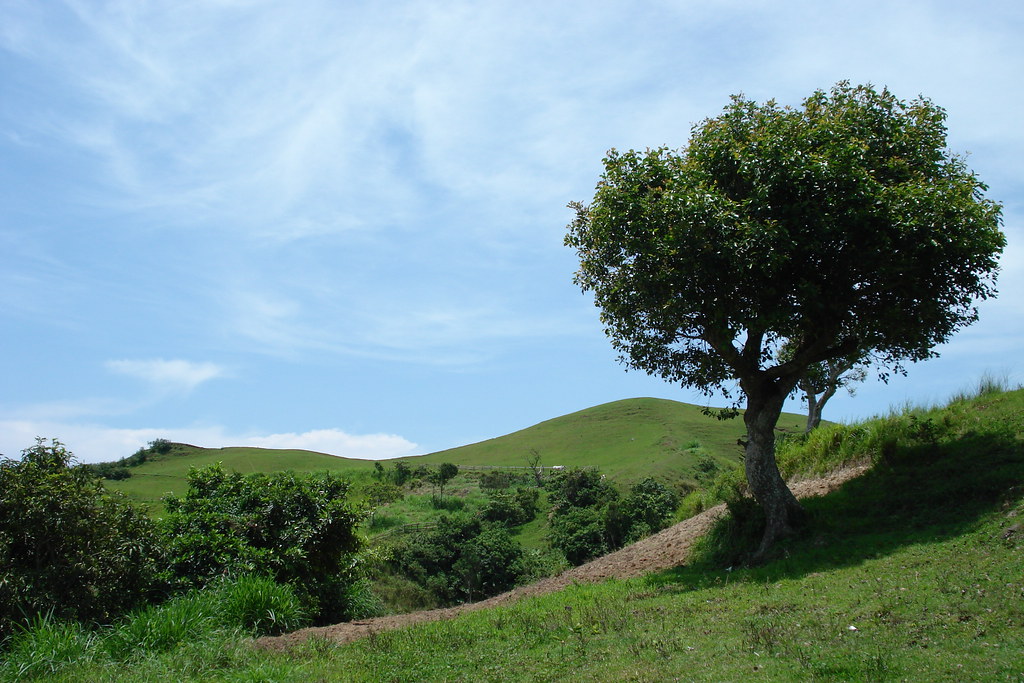 Mt. Gulugod Baboy Campsite in Mabini, Batangas, showing Mt. Gulugod Baboy