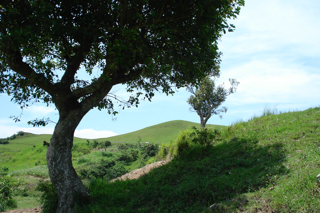 Mt. Gulugod Baboy Campsite
