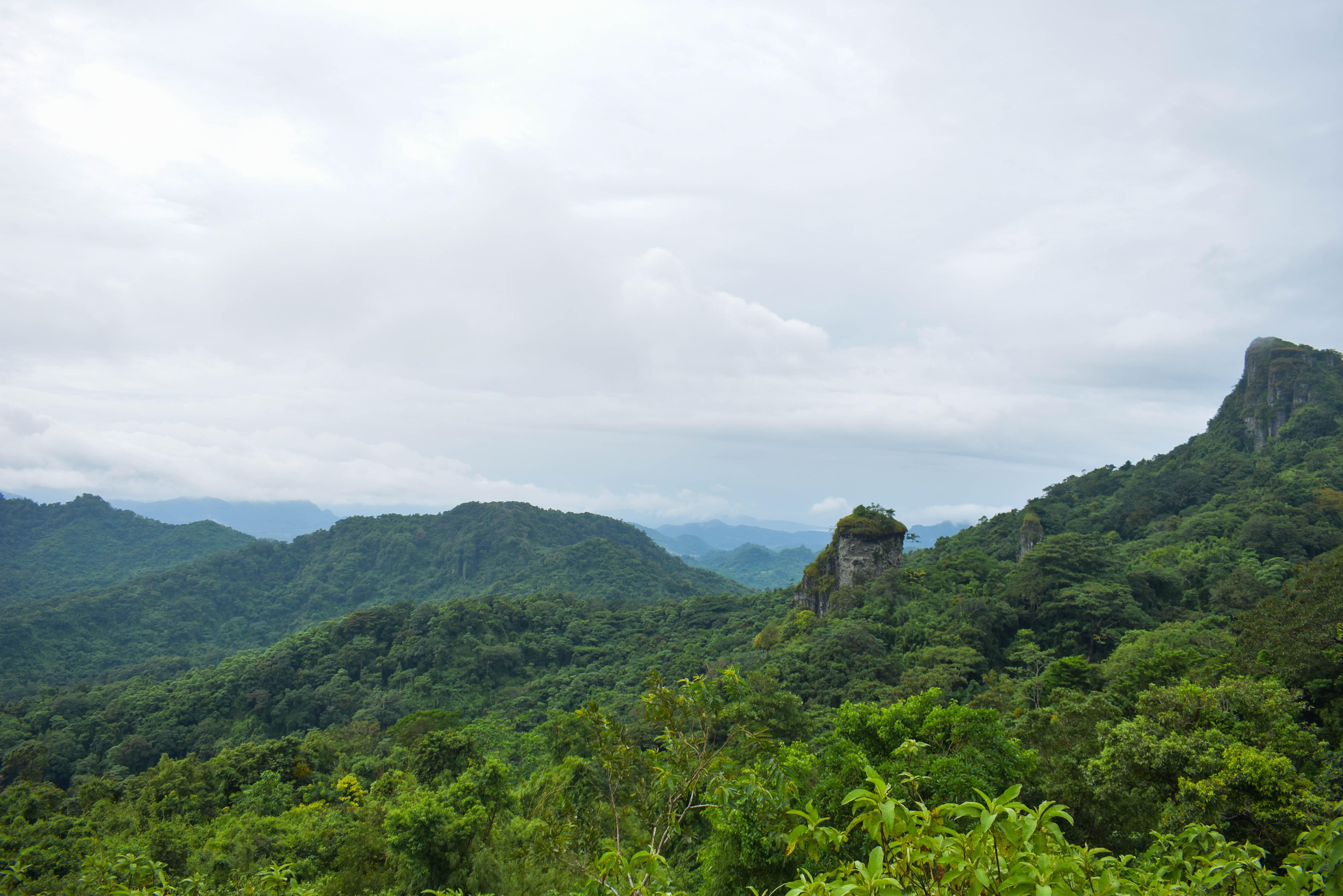Mt. Marami trail scenery near the hike-in Mt. Marami Campsites in Cavite.
