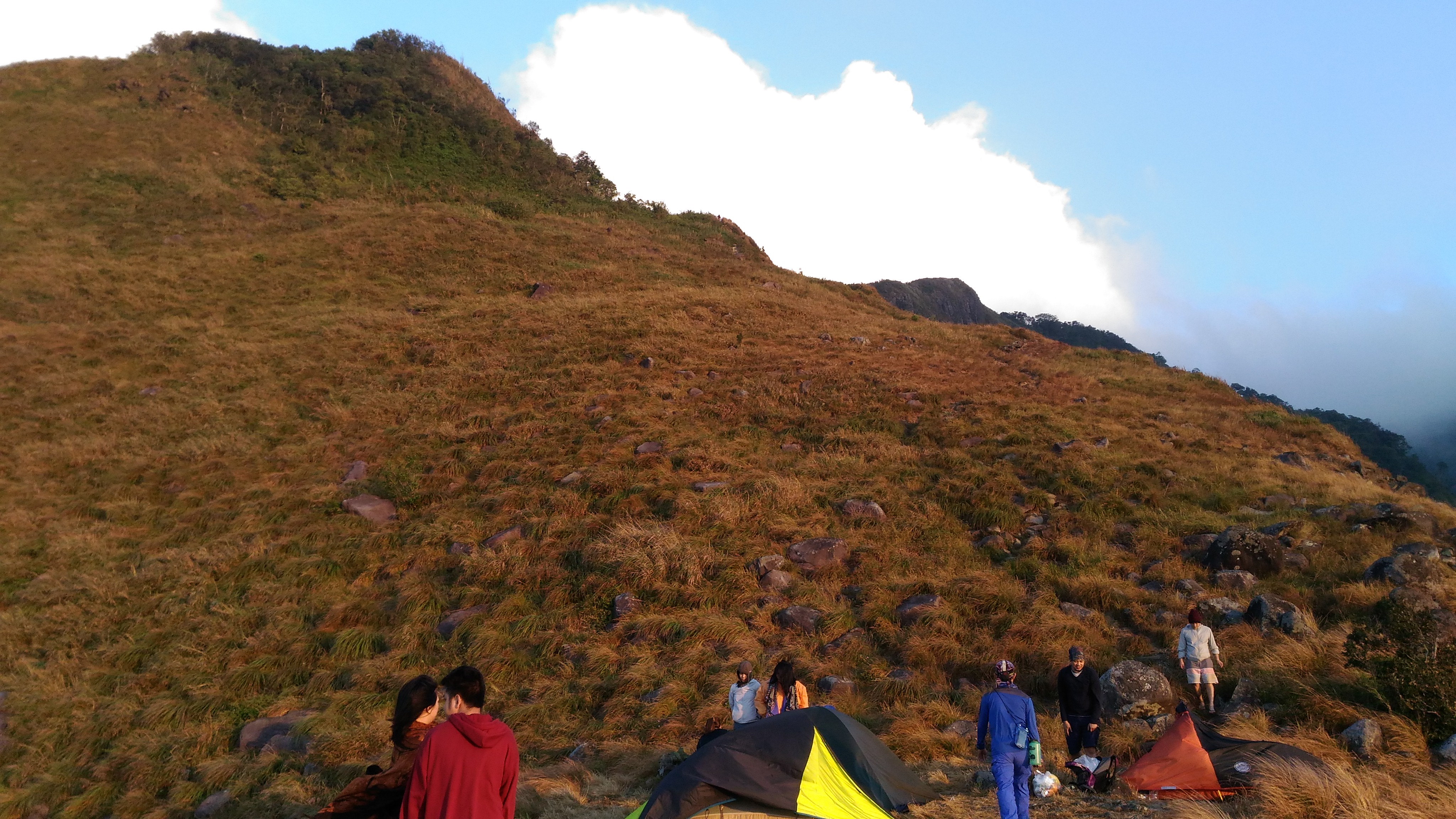 Tarak Ridge Campsite